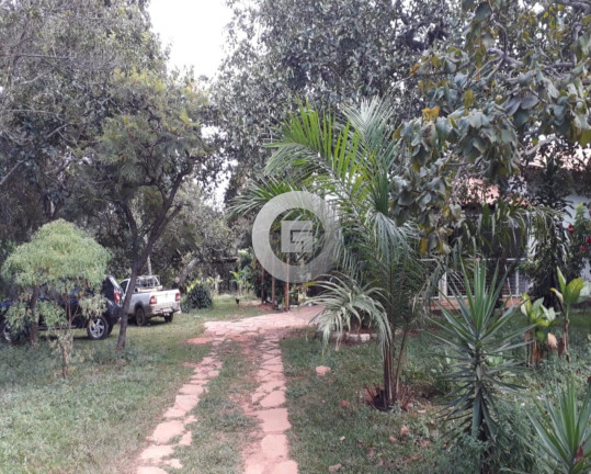 Imagem Imóvel com 3 Quartos à Venda, 100 m² em Lagoinha - Montes Claros