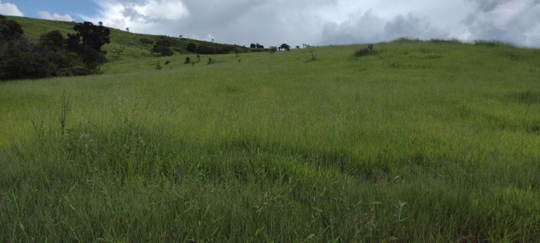 Fazenda à Venda, 100 m² em Zona Rural - Guaratinguetá