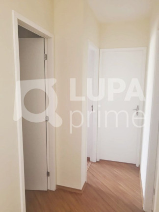 Imagem Apartamento com 3 Quartos à Venda, 65 m² em Vila Maria Alta - São Paulo Imagem Apartamento com 3 Quartos à Venda, 65 m² em Vila Maria Alta - São Paulo