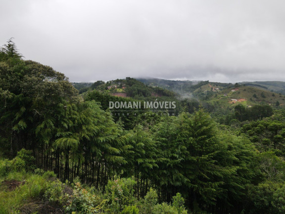 Imagem Imóvel à Venda, 1.500 m² em Região De Descansópolis - Campos Do Jordão Imagem Imóvel à Venda, 1.500 m² em Região De Descansópolis - Campos Do Jordão