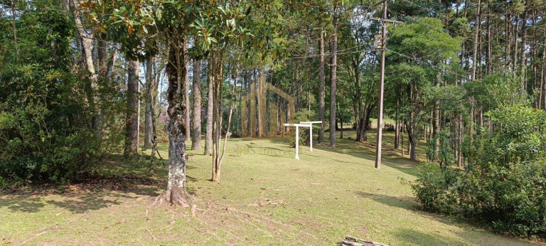 Imagem Chácara com 4 Quartos à Venda, 86.748 m² em São Dimas - Colombo