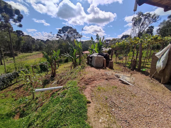 Imagem Chácara à Venda, 1.200 m² em Zona Rural - Tijucas Do Sul Imagem Chácara à Venda, 1.200 m² em Zona Rural - Tijucas Do Sul