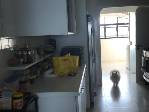 Imagem Apartamento com 3 Quartos à Venda, 172 m² em Pitangueiras - Guarujá