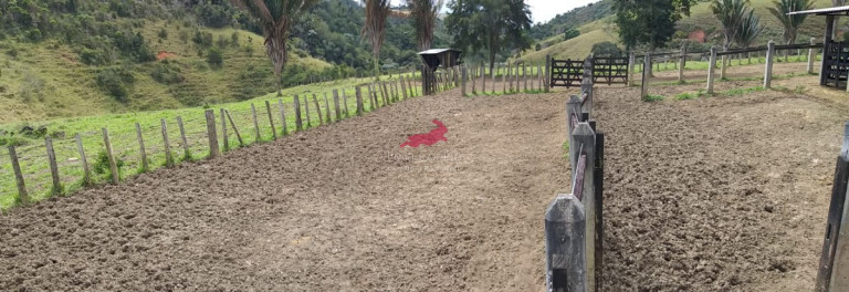 Imagem Fazenda à Venda, 968 m² em Centro - Palmópolis