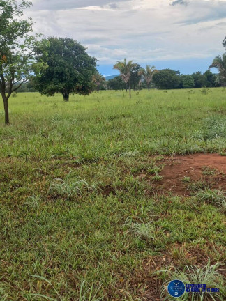 Fazenda à Venda, 197 m² em Zona Rural - Novo Brasil