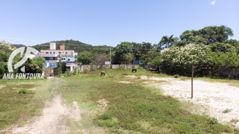 Imagem Imóvel à Venda, 3.875 m² em São Francisco De Assis - Camboriú Imagem Imóvel à Venda, 3.875 m² em São Francisco De Assis - Camboriú