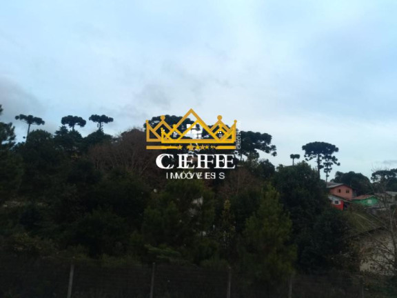 Imagem Casa com 3 Quartos à Venda, 126 m² em São Rafael - Canela Imagem Casa com 3 Quartos à Venda, 126 m² em São Rafael - Canela