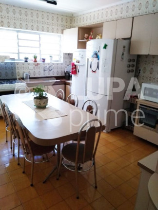 Imagem Casa com 3 Quartos à Venda, 320 m² em Vila Maria Alta - São Paulo