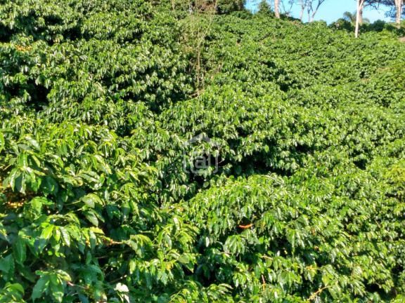 Imagem Imóvel à Venda, 1 m² em Souza Lima - Poços De Caldas