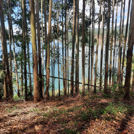 Imagem Fazenda à Venda, 100 m² em Lagoa - Paraibuna Imagem Fazenda à Venda, 100 m² em Lagoa - Paraibuna