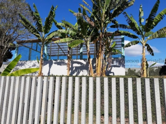 Imagem Chácara com 3 Quartos à Venda, 10.000 m² em Sítio Da Moenda - Itatiba