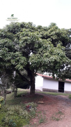 Imagem Chácara com 5 Quartos à Venda, 22.952 m² em Caetê - São Roque Imagem Chácara com 5 Quartos à Venda, 22.952 m² em Caetê - São Roque