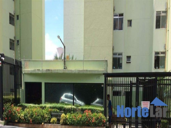 Imagem Apartamento com 2 Quartos à Venda, 48 m² em Vila Amélia - São Paulo