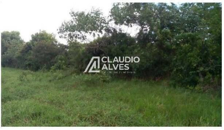 Imagem Terreno à Venda, 13.000 m² em Br 324 - Amélia Rodrigues Imagem Terreno à Venda, 13.000 m² em Br 324 - Amélia Rodrigues