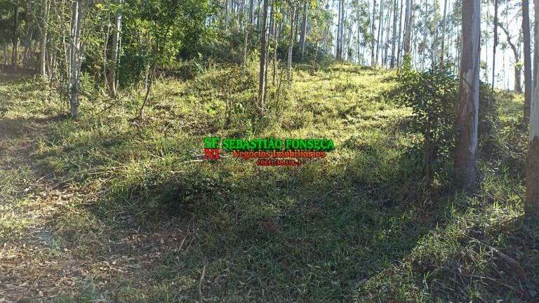 Imagem Chácara à Venda, 2 m² em Centro - Paraibuna Imagem Chácara à Venda, 2 m² em Centro - Paraibuna