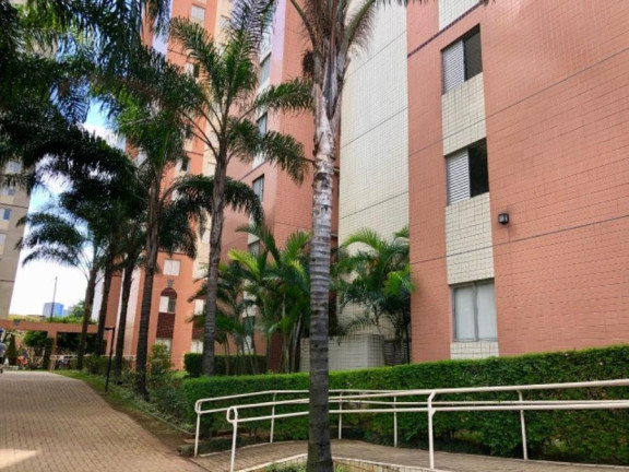 Imagem Apartamento com 3 Quartos à Venda, 61 m² em Cambuci - São Paulo Imagem Apartamento com 3 Quartos à Venda, 61 m² em Cambuci - São Paulo
