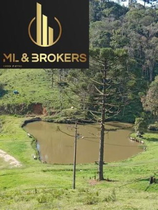 Imagem Imóvel à Venda, 30.250 m² em Matulao - Tijucas Do Sul
