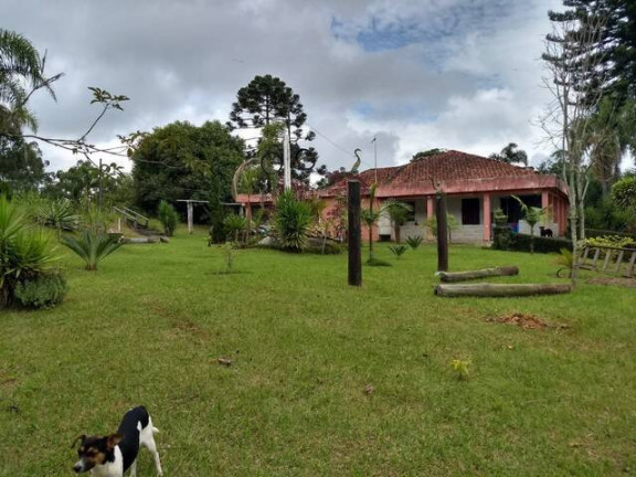 Imagem Chácara com 2 Quartos à Venda, 5.316 m² em Sarapuí Dos Godinhos - Piedade