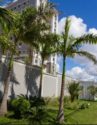 Imagem Apartamento com 2 Quartos à Venda, 52 m² em Nova Parnamirim - Natal Imagem Apartamento com 2 Quartos à Venda, 52 m² em Nova Parnamirim - Natal