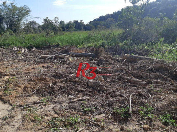 Imagem Terreno à Venda, 40.435 m² em Balneario Praia Do Perequê - Guarujá