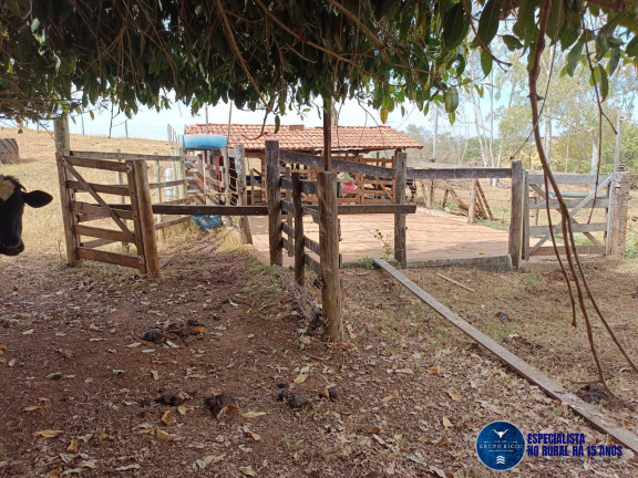 Imagem Chácara à Venda, 2 m² em Zona Rural - Inhumas Imagem Chácara à Venda, 2 m² em Zona Rural - Inhumas