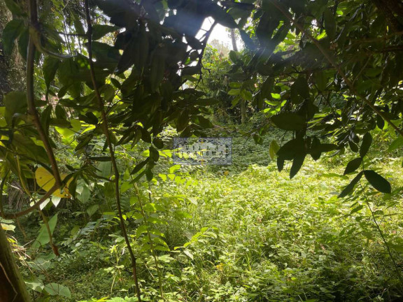 Imagem Terreno à Venda, 4.000 m² em Recreio Dos Bandeirantes - Rio De Janeiro