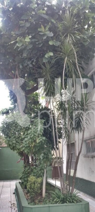 Imagem Apartamento com 2 Quartos à Venda, 43 m² em Vila Guilherme - São Paulo Imagem Apartamento com 2 Quartos à Venda, 43 m² em Vila Guilherme - São Paulo