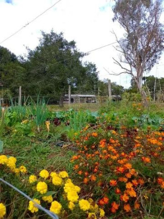 Imagem Imóvel com 7 Quartos à Venda, 32.000 m² em Centro - Tijucas Do Sul