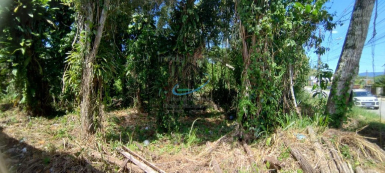 Imagem Terreno à Venda, 490 m² em Jardim Das Gaivotas - Caraguatatuba Imagem Terreno à Venda, 490 m² em Jardim Das Gaivotas - Caraguatatuba