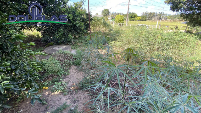 Imagem Casa com 2 Quartos à Venda, em Viamão Imagem Casa com 2 Quartos à Venda, em Viamão