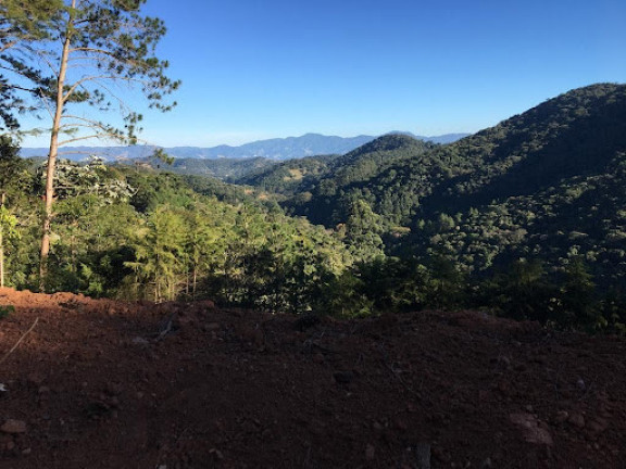 Imagem Terreno à Venda, 1.767 m² em Eugênio Lefevre - Santo Antônio Do Pinhal Imagem Terreno à Venda, 1.767 m² em Eugênio Lefevre - Santo Antônio Do Pinhal