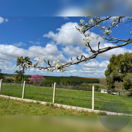 Imagem Terreno à Venda, 1 m² em Gravataí Imagem Terreno à Venda, 1 m² em Gravataí