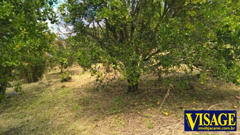 Imagem Terreno à Venda, 20.500 m² em Freguesia Da Escada - Guararema Imagem Terreno à Venda, 20.500 m² em Freguesia Da Escada - Guararema
