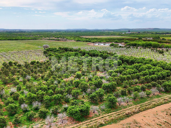 Imagem Fazenda à Venda, em área Rual - Petrolina Imagem Fazenda à Venda, em área Rual - Petrolina
