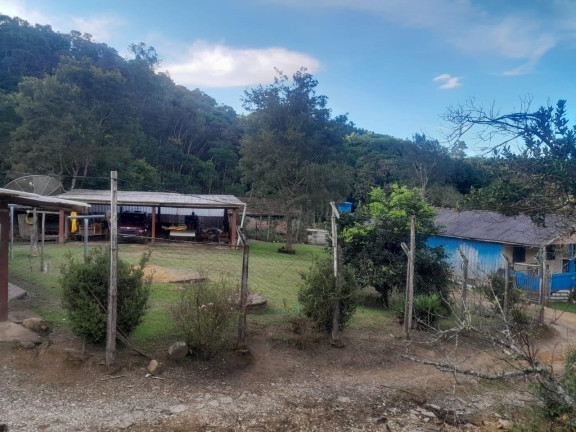 Imagem Imóvel com 3 Quartos à Venda, 72.000 m² em Centro - Tunas Do Parana