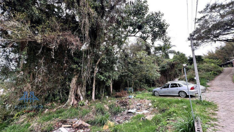Imagem Terreno à Venda, 13.177 m² em Canasvieiras - Florianópolis Imagem Terreno à Venda, 13.177 m² em Canasvieiras - Florianópolis
