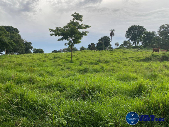 Imagem Chácara à Venda, 12 m² em Zona Rural - Campestre De Goiás Imagem Chácara à Venda, 12 m² em Zona Rural - Campestre De Goiás