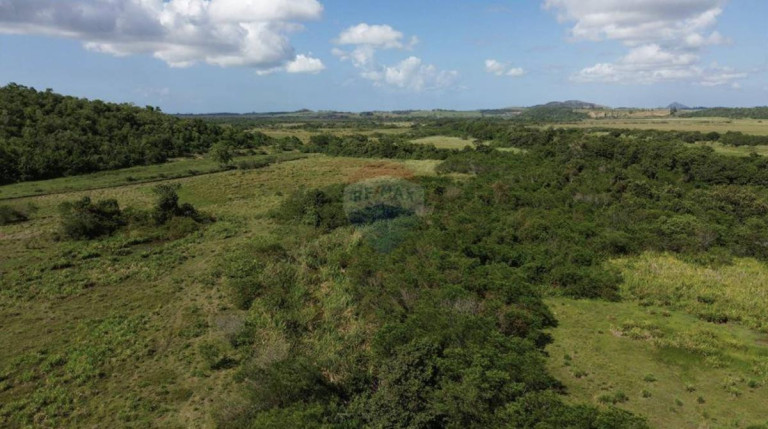 Imagem Fazenda à Venda, 1.449.875 m² em Zona Rural - Anchieta Imagem Fazenda à Venda, 1.449.875 m² em Zona Rural - Anchieta