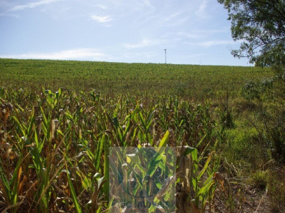 Imagem Imóvel com 2 Quartos à Venda, 665.000 m² em Zona Rural - Jacui