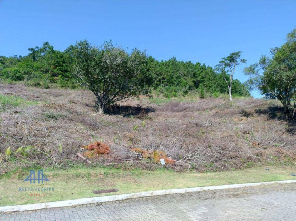 Imagem Terreno à Venda, 473 m² em Itacorubi - Florianópolis Imagem Terreno à Venda, 473 m² em Itacorubi - Florianópolis