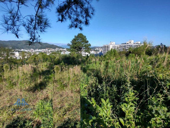 Imagem Terreno à Venda, 450 m² em Itacorubi - Florianópolis Imagem Terreno à Venda, 450 m² em Itacorubi - Florianópolis