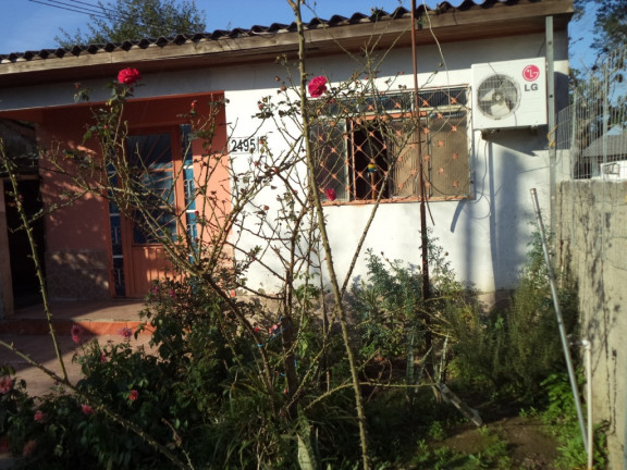 Imagem Casa com 3 Quartos à Venda, 120 m² em Lami - Porto Alegre