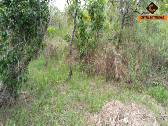 Imagem Terreno à Venda, 27.900 m² em Parafuso - Camaçari Imagem Terreno à Venda, 27.900 m² em Parafuso - Camaçari