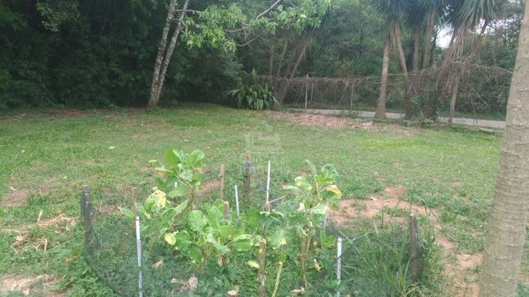 Imagem Imóvel com 2 Quartos à Venda, 2.805 m² em Parque Serrano I - Itaara