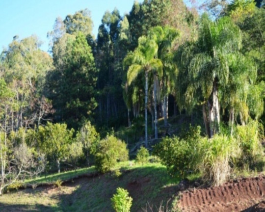 Imagem Terreno à Venda, 6 m² em Linha Imperial - Nova Petrópolis Imagem Terreno à Venda, 6 m² em Linha Imperial - Nova Petrópolis