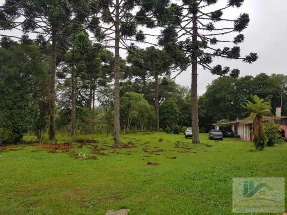 Imagem Chácara com 4 Quartos à Venda, 250 m² em Contenda - São José Dos Pinhais Imagem Chácara com 4 Quartos à Venda, 250 m² em Contenda - São José Dos Pinhais