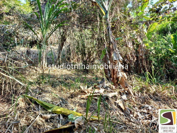 Imagem Terreno à Venda, 1.936 m² em Piúva - Ilhabela Imagem Terreno à Venda, 1.936 m² em Piúva - Ilhabela
