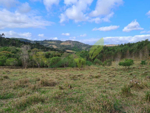 Imagem Chácara com 2 Quartos à Venda, 363.000 m² em Piracaia - Piracaia Imagem Chácara com 2 Quartos à Venda, 363.000 m² em Piracaia - Piracaia