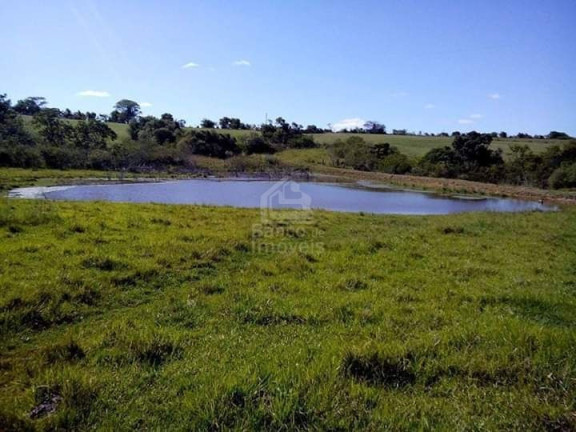 Imóvel com 3 Quartos à Venda, 62.000 m² em Zona Rural - Formigueiro