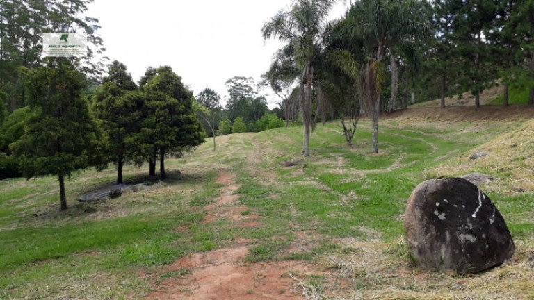 Imagem Fazenda à Venda, 121.000 m² em Alto Da Serra - São Roque Imagem Fazenda à Venda, 121.000 m² em Alto Da Serra - São Roque